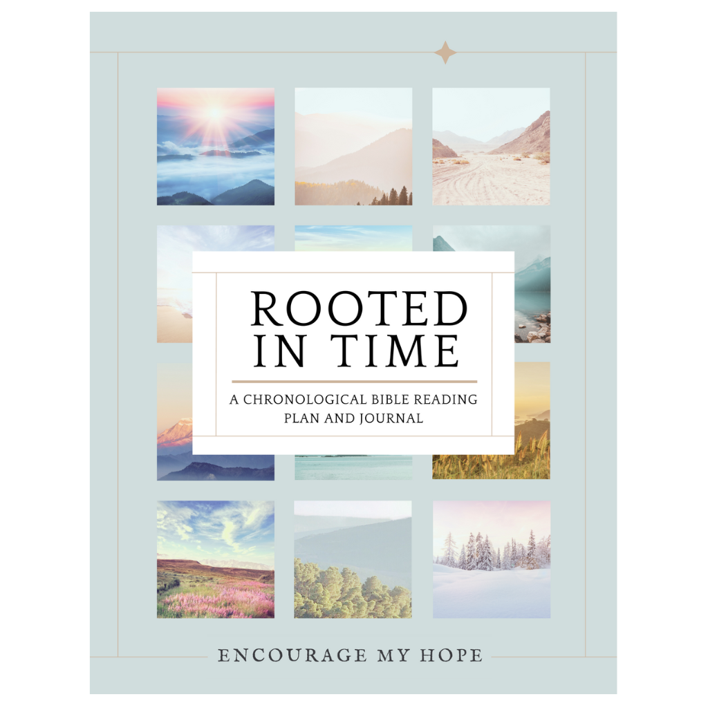 Rooted In Time A Chronological Bible Reading Plan And Journal 